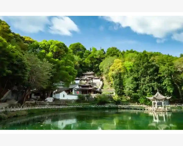 舒畅呼吸，用茶解痰泡