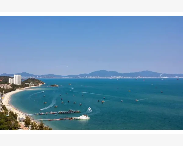 舒筋活络，缓解下肢血瘀症状——中医传统草药方剂汇总