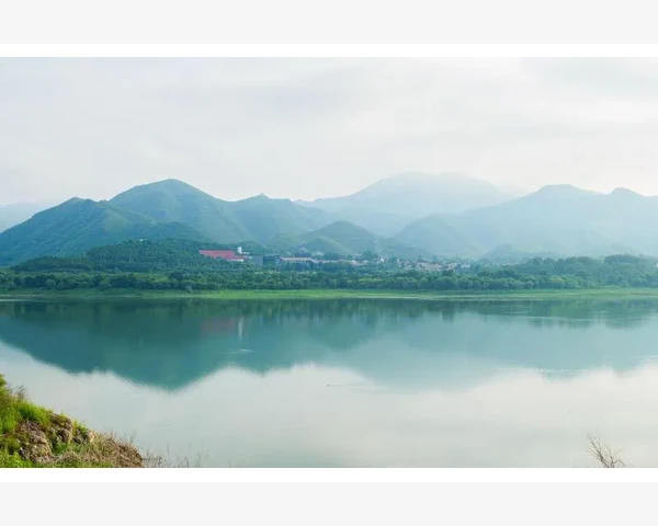 舒缓亚健康：中医调理脾肾亏虚，让你重拾活力